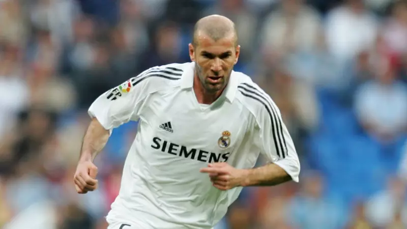 Zinedine Zidane - 31个进球